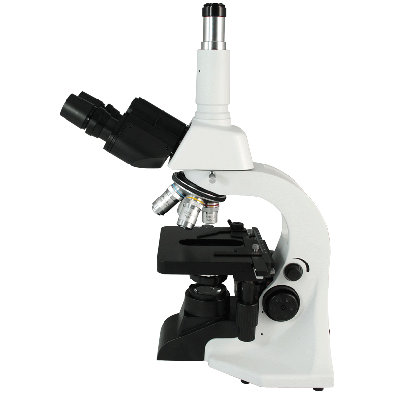 Biological Microscope